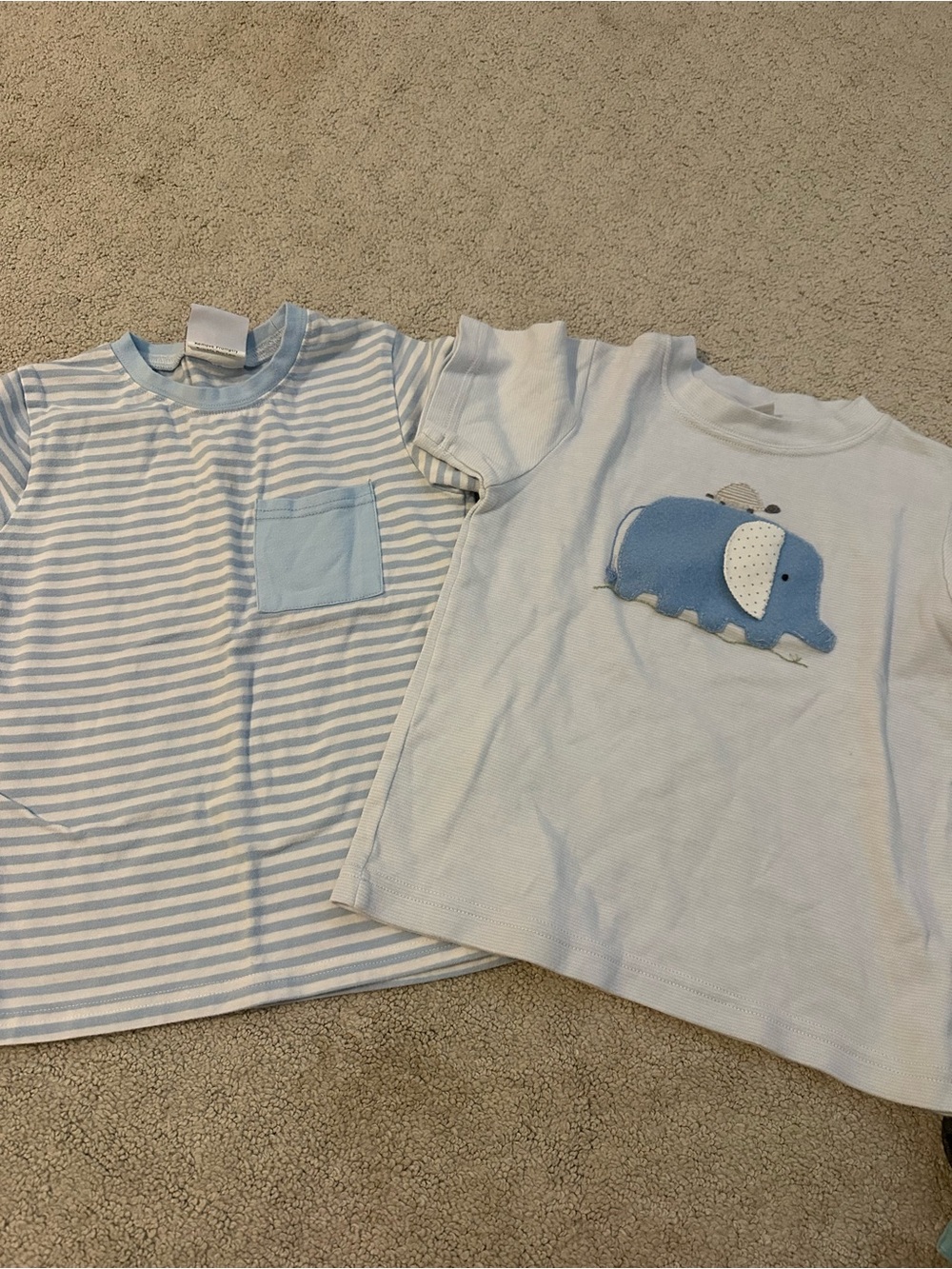 Kids Blue Striped & Elephant Graphic Tee Set
